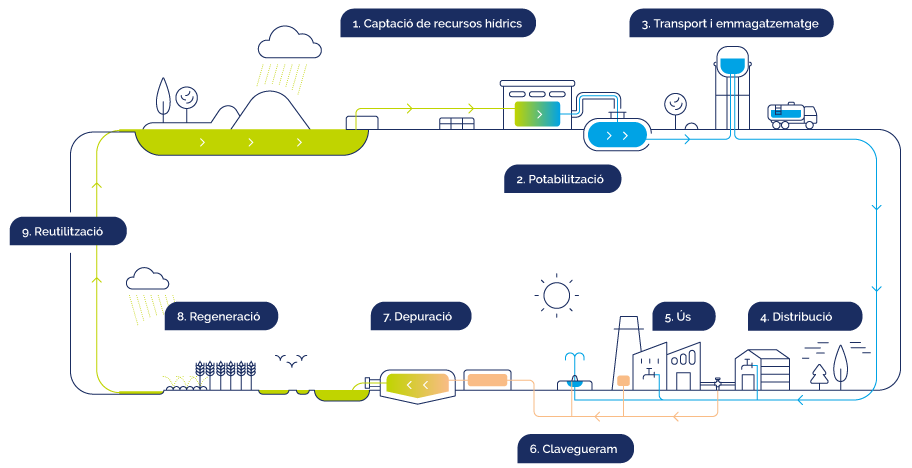 Infografia cicle integral de l'aigua