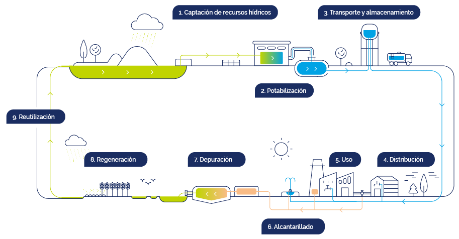 Infografía ciclo integral del agua